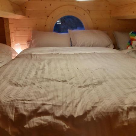 Springbank Cabin Insch Екстер'єр фото