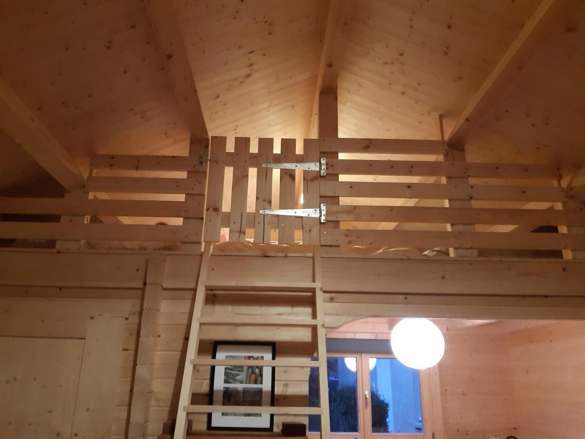 Springbank Cabin Insch Екстер'єр фото